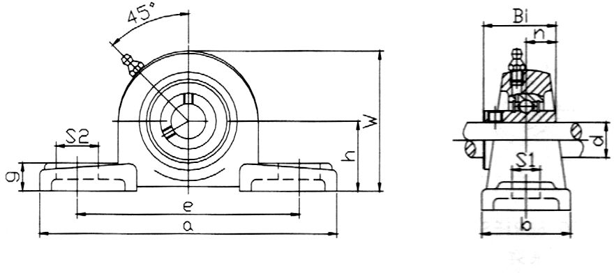 UCP300